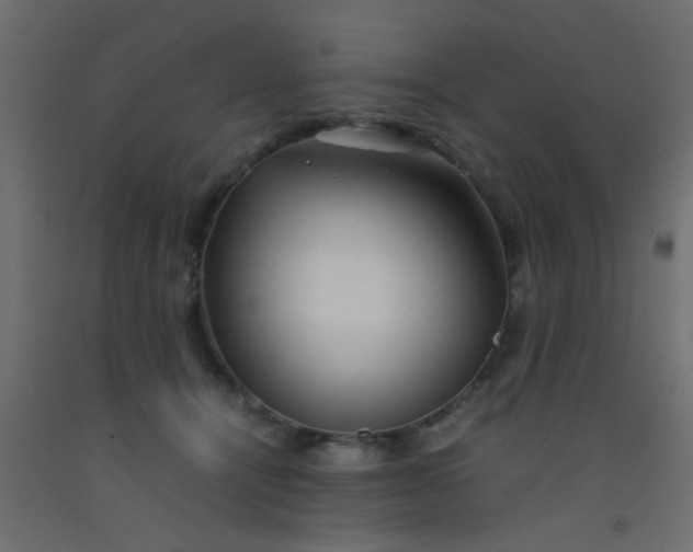 X0000093100464200710101541