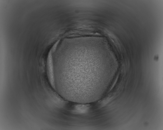 X0000093100465200710101541