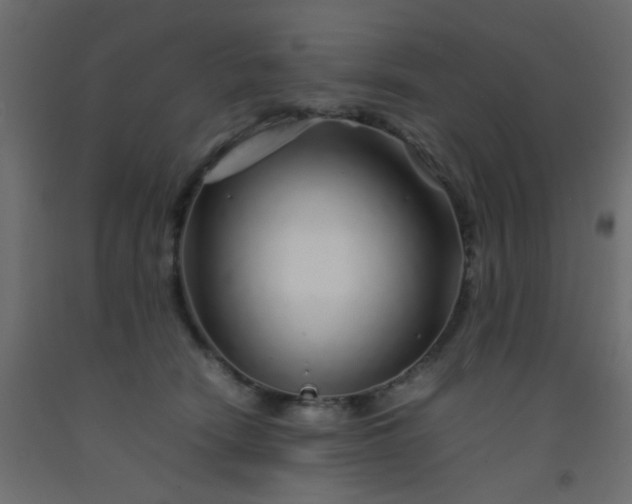 X0000093100466200710101541