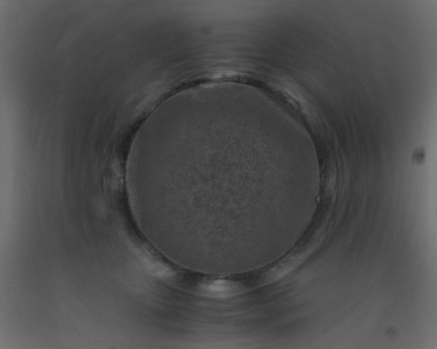 X0000093100467200710101541