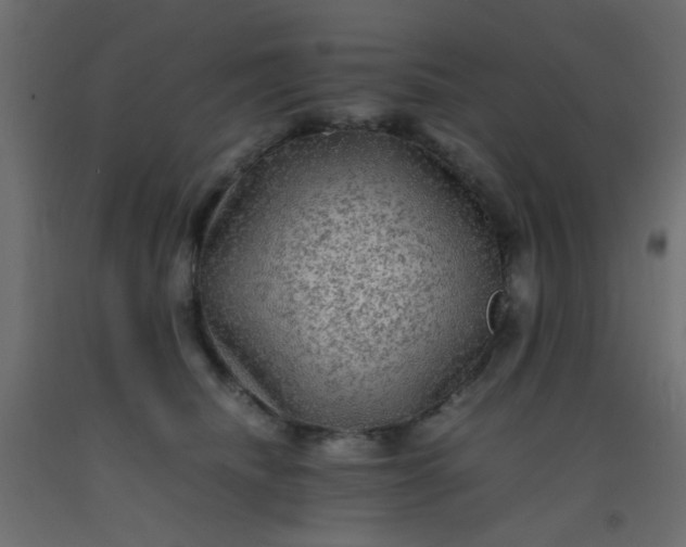X0000093100468200710101541
