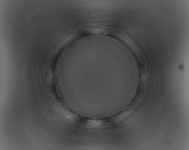 X0000093100469200710101541