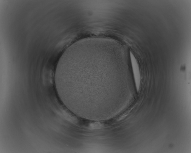 X0000093100470200710101541