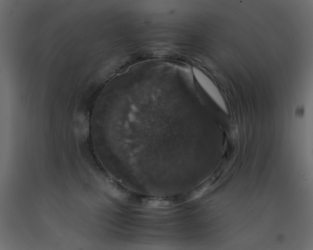 X0000093100471200710101541