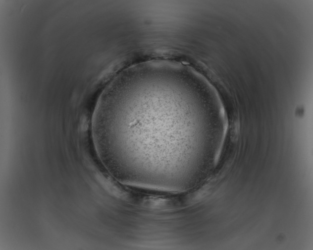 X0000093100472200710101541