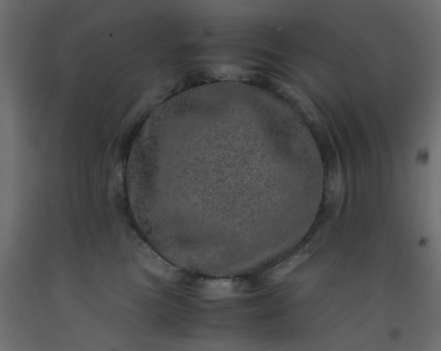 X0000093100473200710101541
