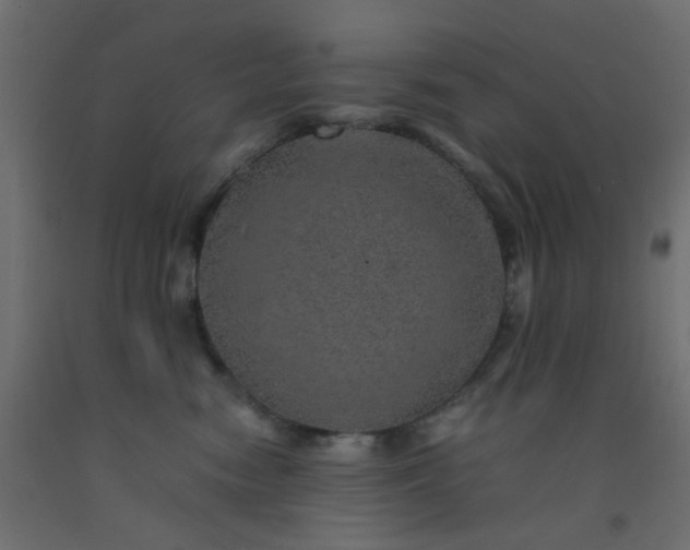 X0000093100474200710101542