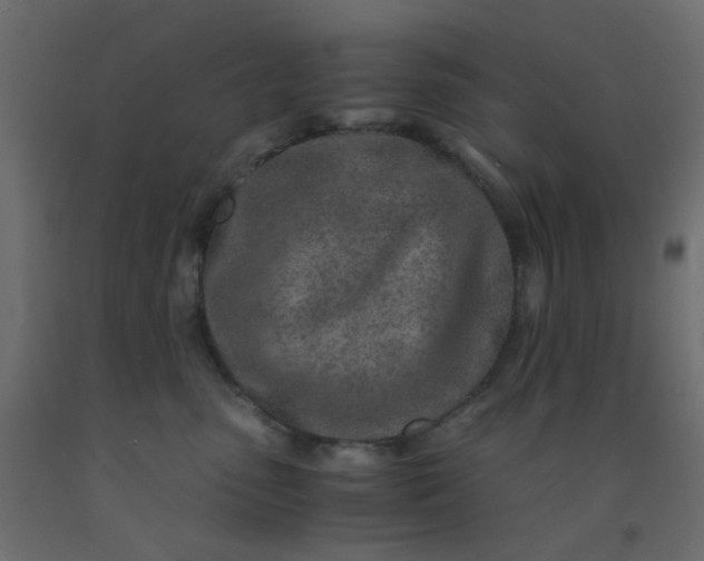 X0000093100475200710101542