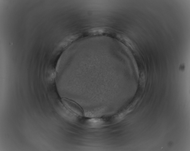 X0000093100477200710101542
