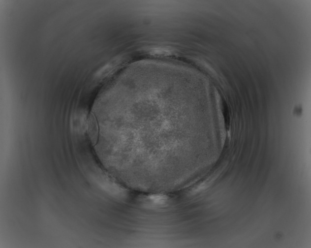 X0000093100478200710101542