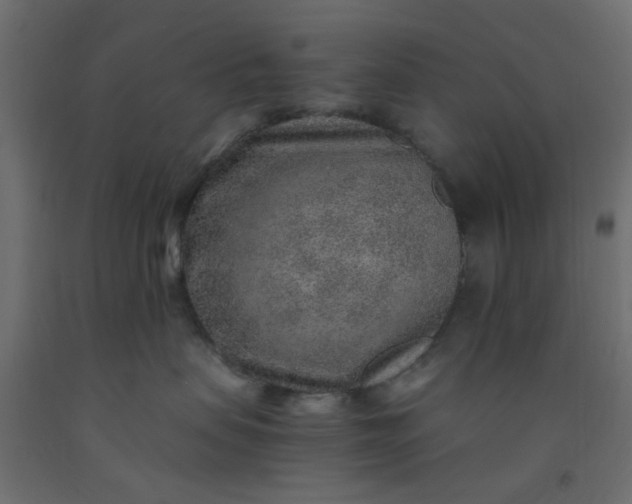 X0000093100479200710101542