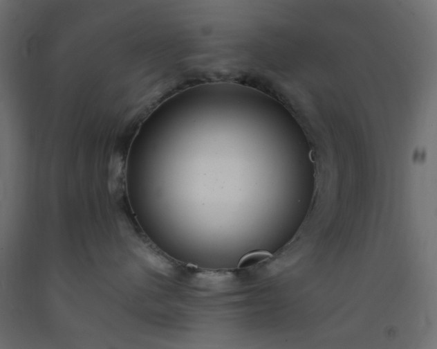 X0000093100480200710101542