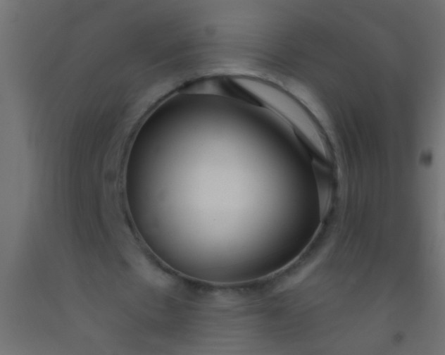 X0000093100481200710101541