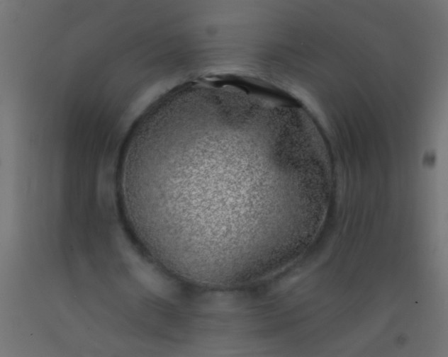 X0000093100482200710101541
