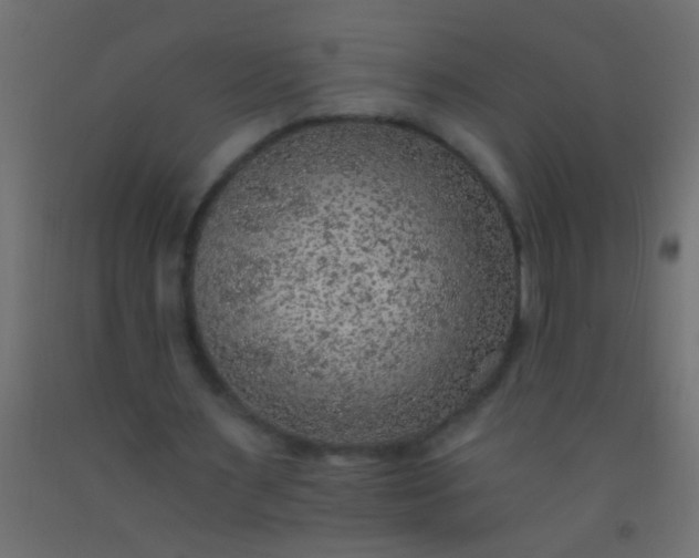 X0000093100483200710101541