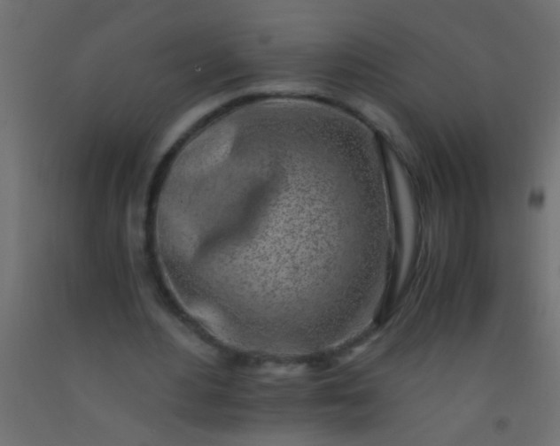 X0000093100484200710101541