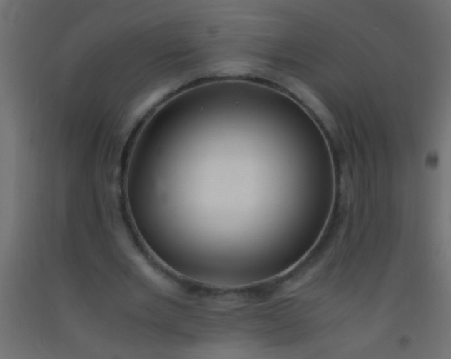 X0000093100485200710101541
