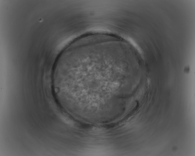 X0000093100487200710101541