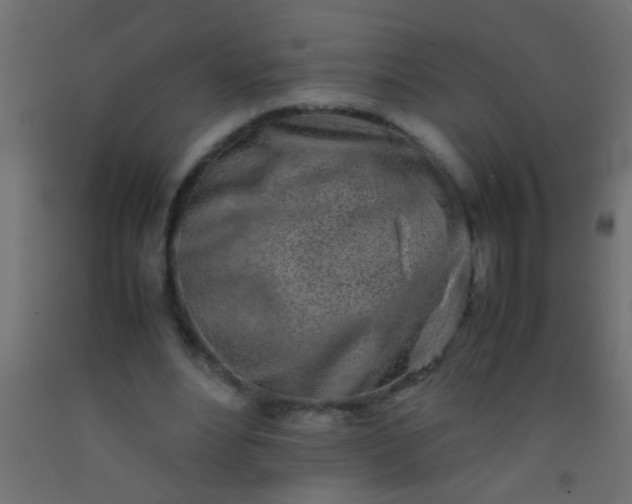 X0000093100488200710101541