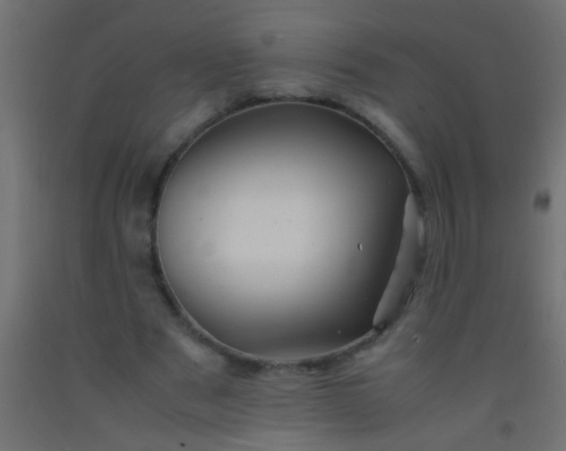 X0000093100489200710101541
