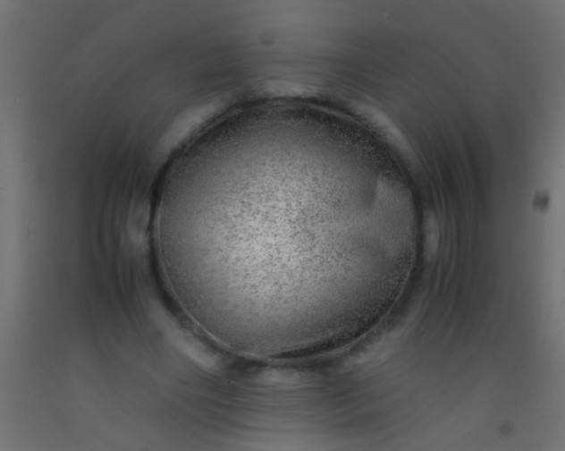 X0000093100490200710101541