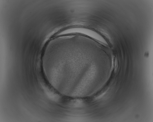 X0000093100492200710101541