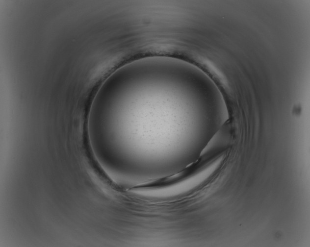 X0000093100493200710101541