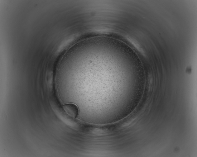 X0000093100494200710101541