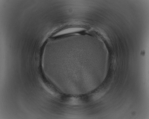 X0000093100496200710101541