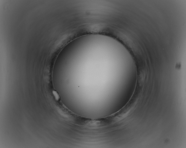 X0000093100497200710101541