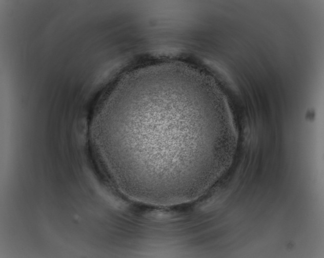 X0000093100498200710101541