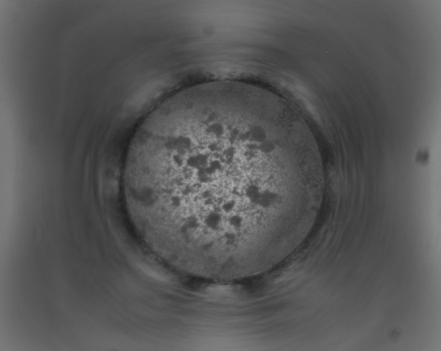 X0000093100499200710101541