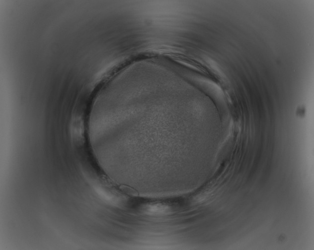 X0000093100500200710101541