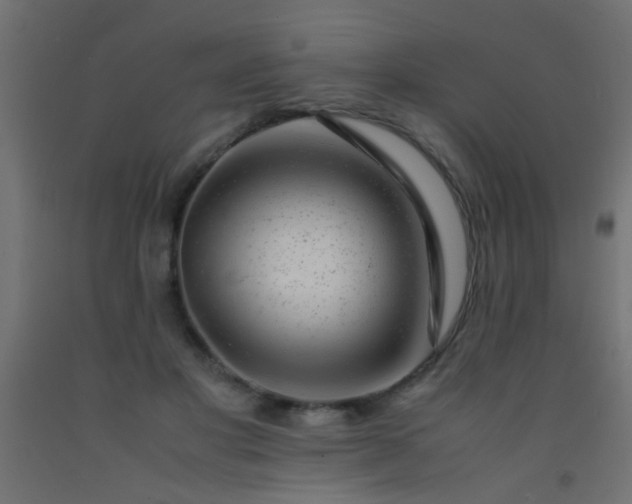 X0000093100501200710101541