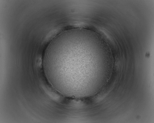 X0000093100502200710101541