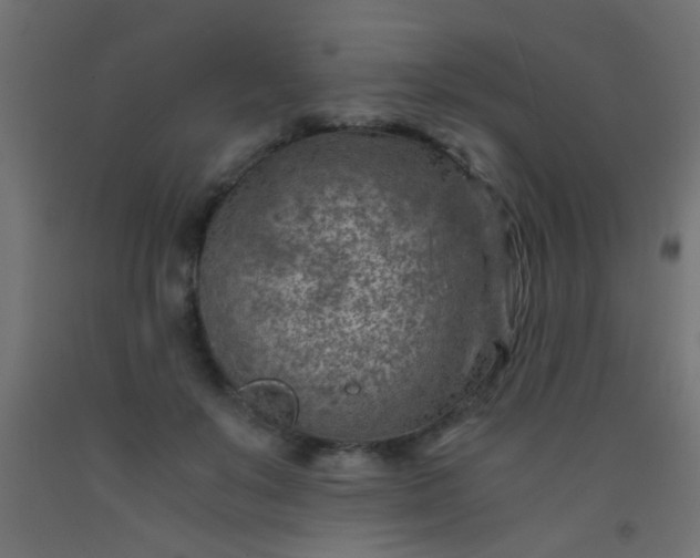 X0000093100503200710101541