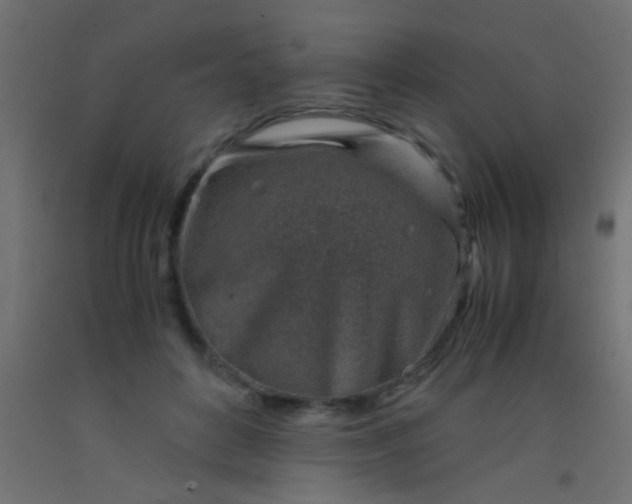 X0000093100504200710101541