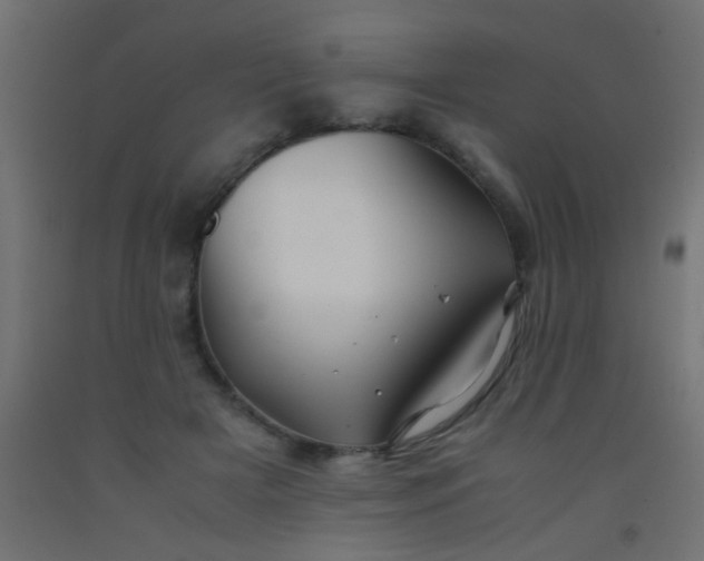 X0000093100505200710101541