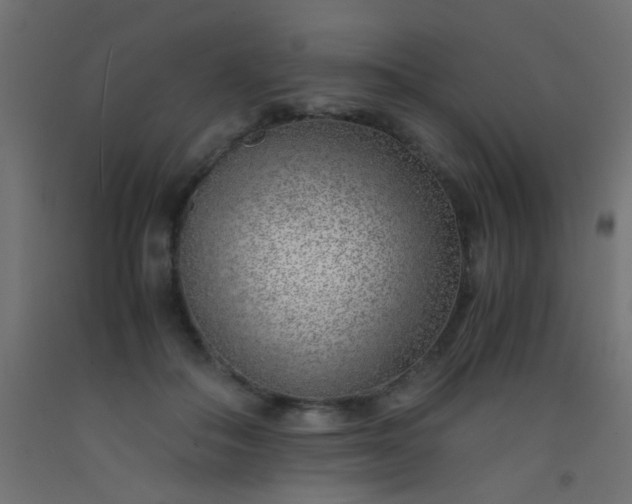 X0000093100506200710101540