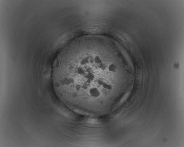 X0000093100507200710101540