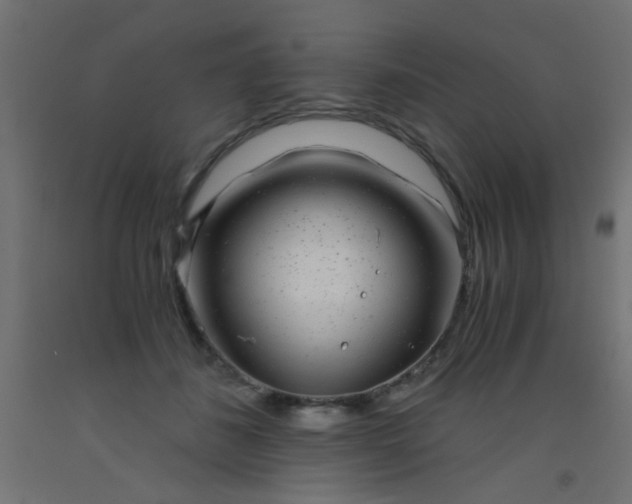 X0000093100508200710101540