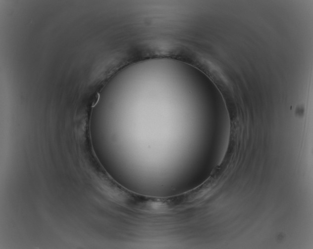 X0000093100509200710101540