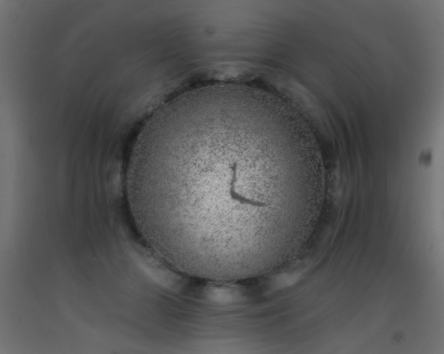 X0000093100510200710101540