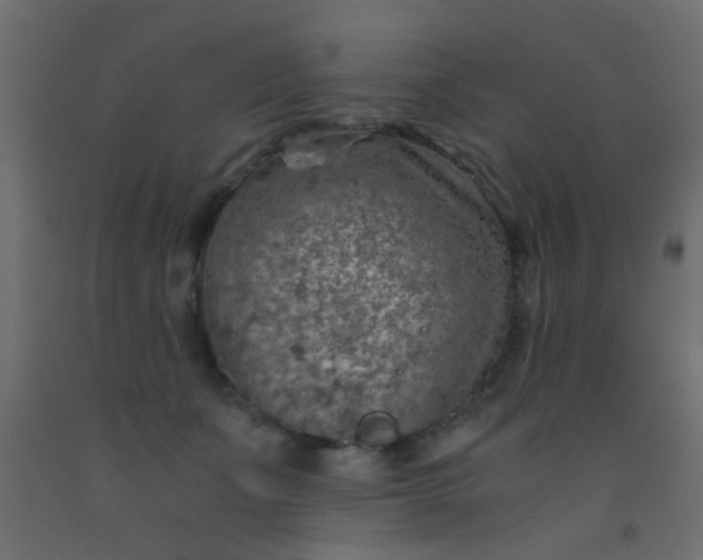 X0000093100511200710101540