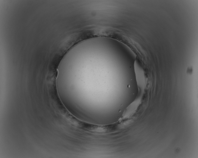 X0000093100513200710101540