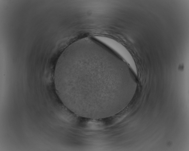 X0000093100515200710101540