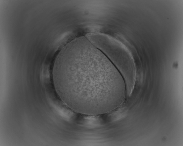 X0000093100516200710101540