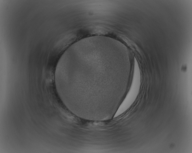 X0000093100517200710101540