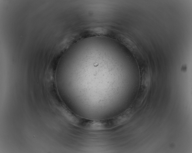 X0000093100518200710101540