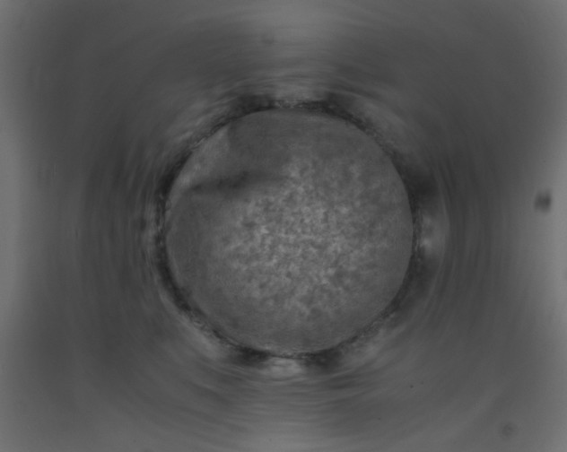 X0000093100519200710101540